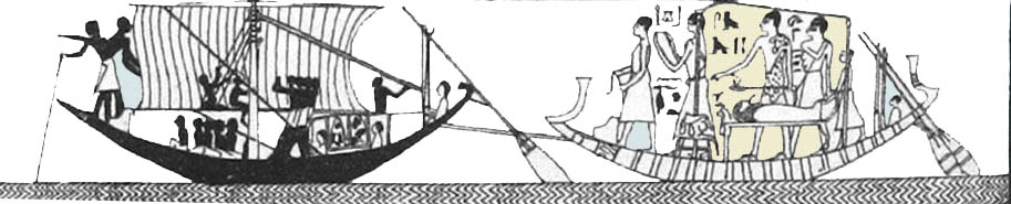 t311