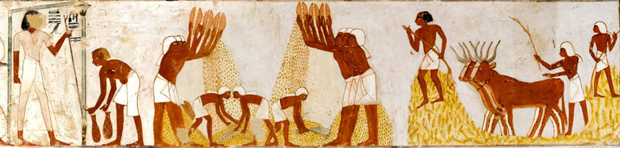 men10